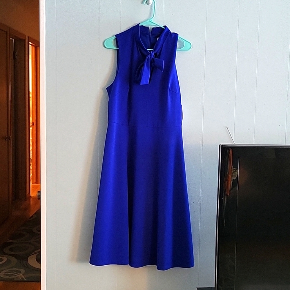 Blue dress